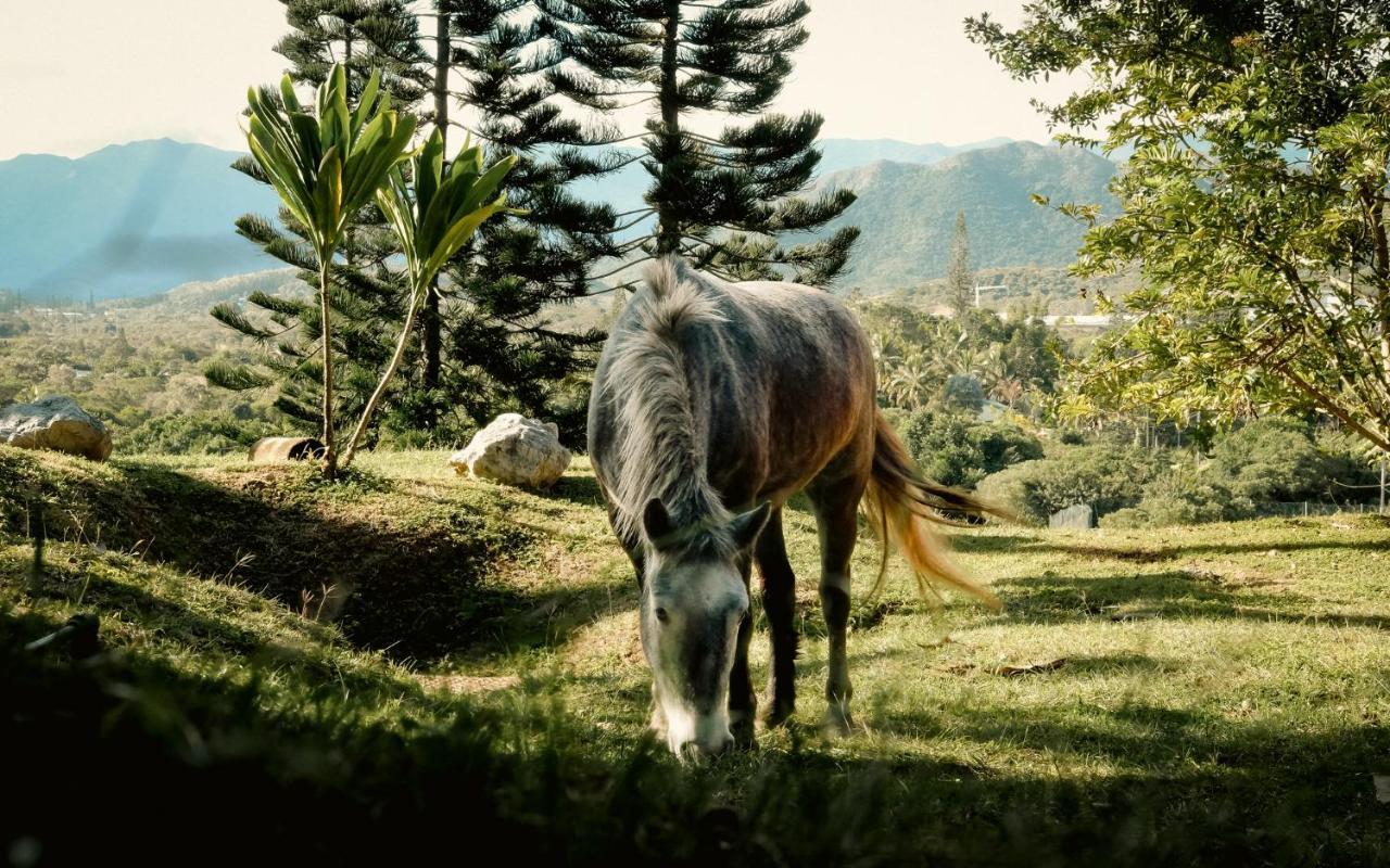 Rivland Resort Païta المظهر الخارجي الصورة