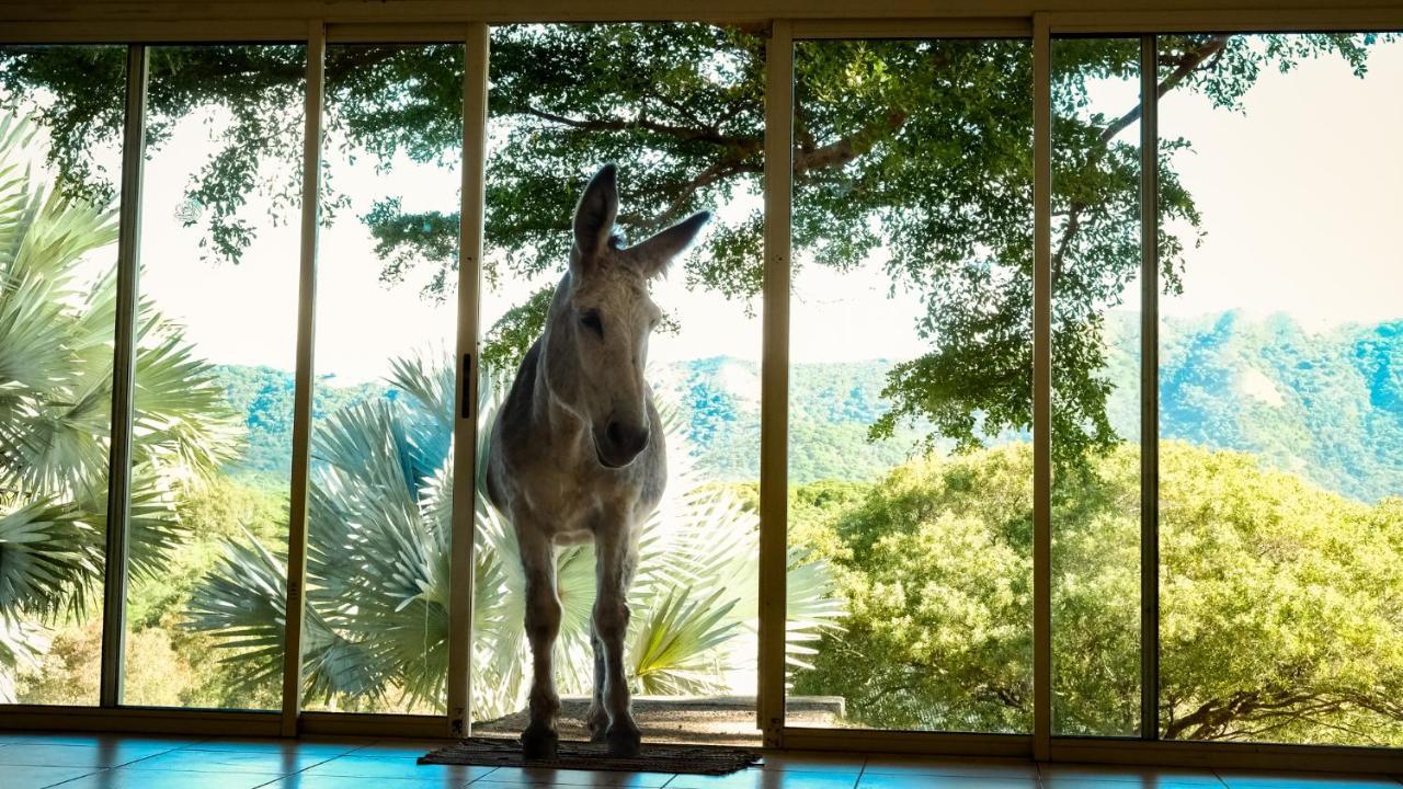 Rivland Resort Païta المظهر الخارجي الصورة